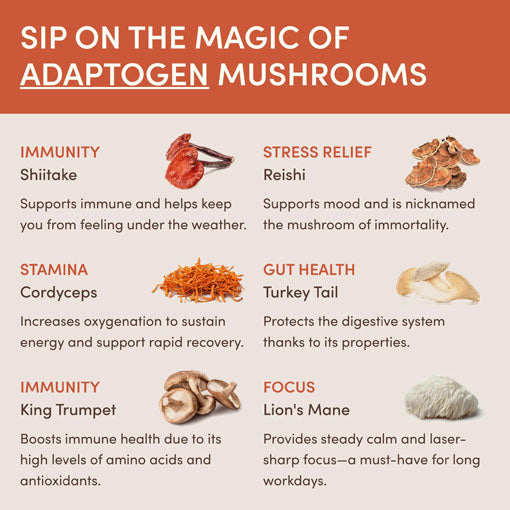 Mushroom Coffee (90 Servings)